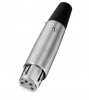 4Pin XLR / DMX femelle