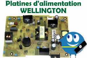 platine alimentation pour les tlvisions WELLINGTON