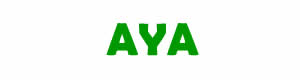 Pices dtaches pour la rparation des appareils  AYA