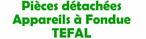 Pièces détahcées pour la réparation des appareils à fondue Tefal