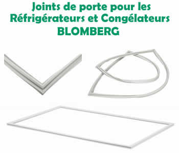 joints pour les rfrigrateurs et conglateurs BLOMBERG