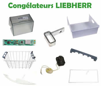 les pièces et composants pour la réparation des congélateurs LIEBHERR