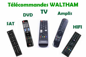 télécommandes de remplacement pour les appareils Waltham